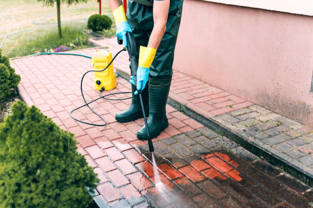 Best Building Exterior Washing  in Brownsville, TX